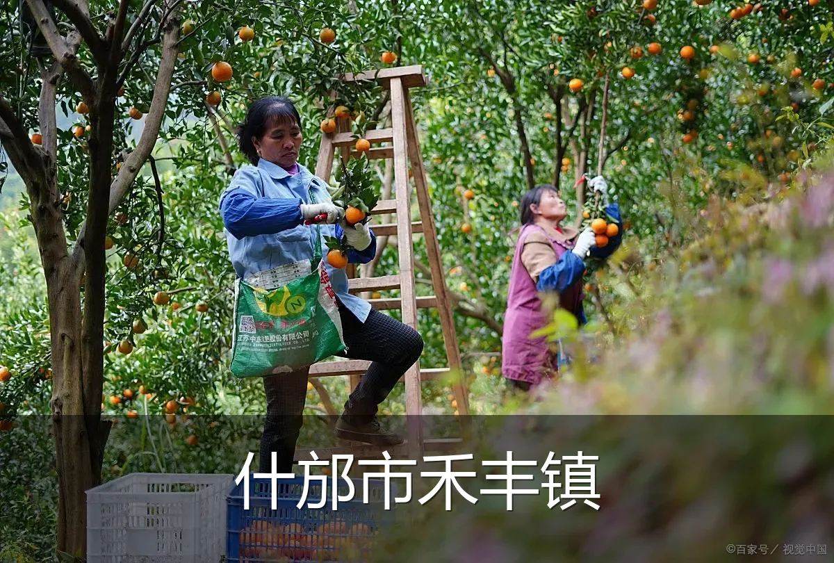 什邡市禾丰镇